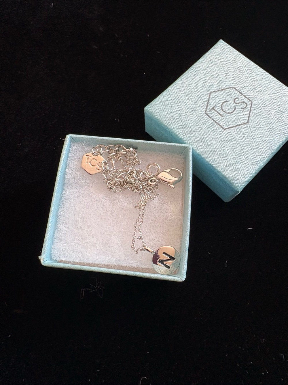 Touchstone Crystal Silver N necklace